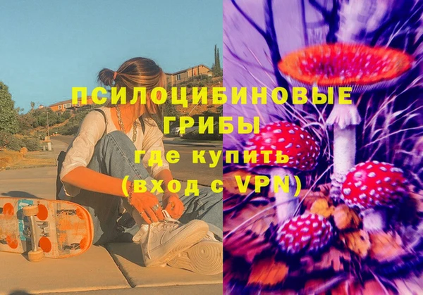 соль ск Алексин