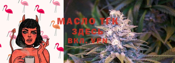 соль ск Алексин