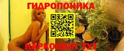 хмурый Кимры