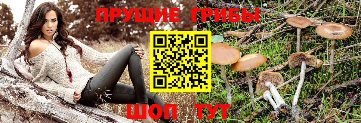 Крымск  Галлюциногенные грибы Psilocybine cubensis  Галлюциногенные грибы ЛСД  Вход с VPN 